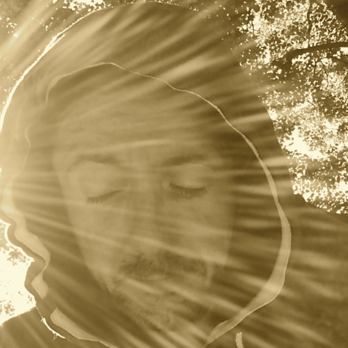 Cioe Pierre Maie S Stream