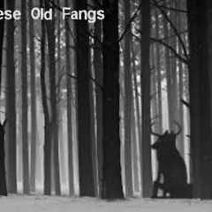 These Old Fangs Band