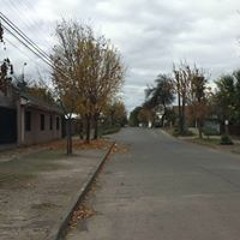 Martin Figueroa Rojas