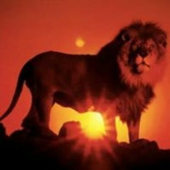 Richard SilvaLox Pilgrim