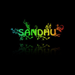 J.v.Sandhu