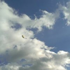坂口恭平たまらんの