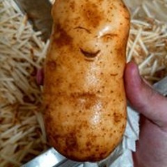 Fecula Patata