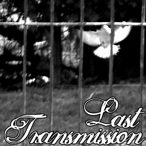 Last Transmission’s avatar