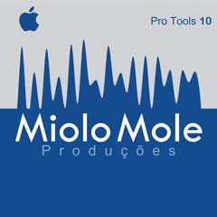 Miolo Mole Estudio