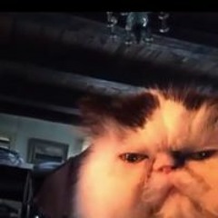 Haden Ray StandingWater