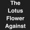 the lotus flower against