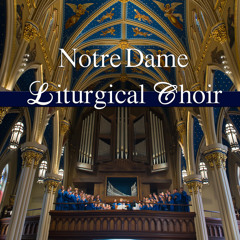 ndlitchoir