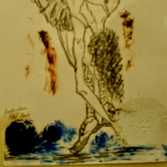henid nabil