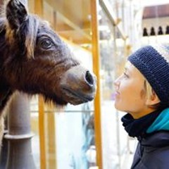 Erin Jarvis Alberstat