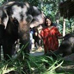 Amanda Vieira Ribeiro