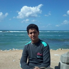 user312698592
