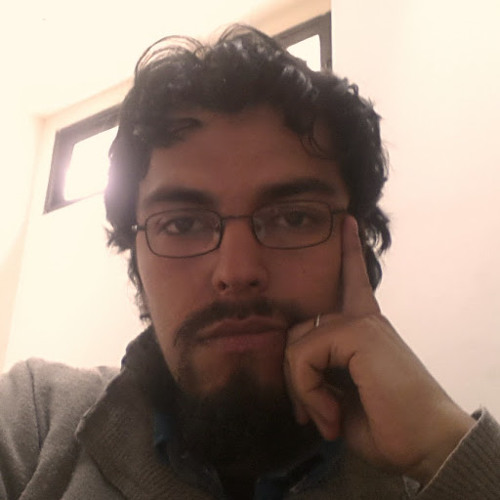 Vicente Salinas’s avatar