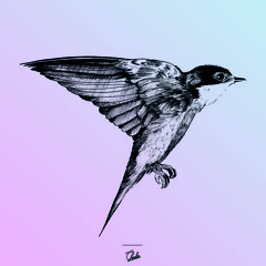 Charles Addad Ortega