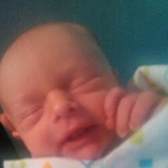 Birdget Skankaltotapuss