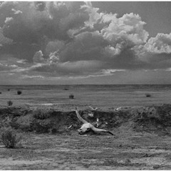 Justin Ready_Echo Prairie