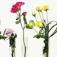 Jennifer Leigh Peterson