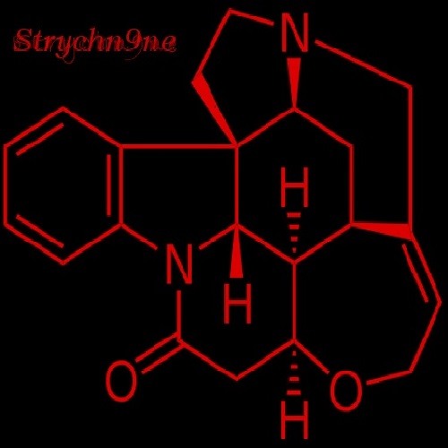 Strychn9ne’s avatar