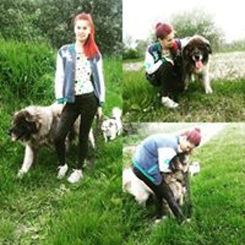 Stream Maria Roxana music | Listen to songs, albums, playlists for free