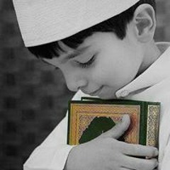 Samir Safwt