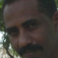 Ismail Hassabo