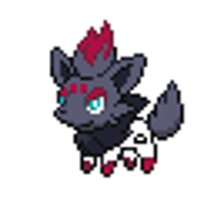doctor zorua