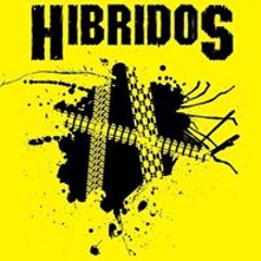 Hibridos Mtb