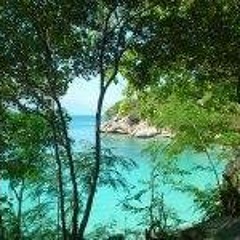 Miguel Rivera Figueroa