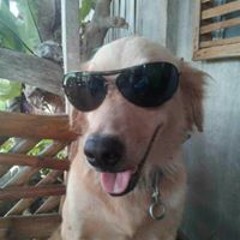 Mari Liza Montuya Juele