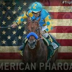 Melinda Manning-Dugan