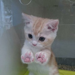 겨울잠 (Hibernation)