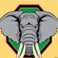 Mandlakazi Ka-Mdlovu