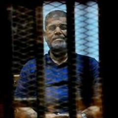 abdo shaban