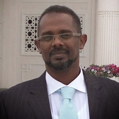 Asadelneil elsafi