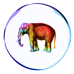 Elephant & The Bubbler