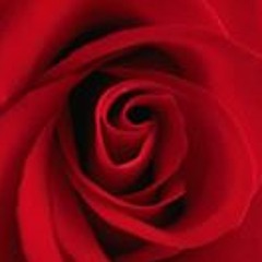 Camellia Radwan