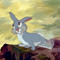 Thumper (Brian)