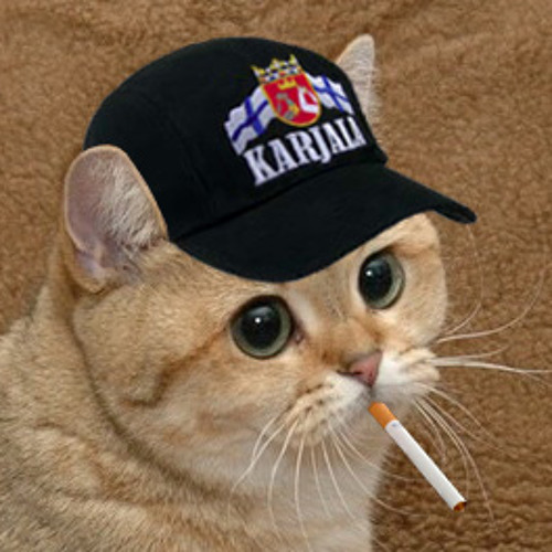 Смешные аватарки с котиками