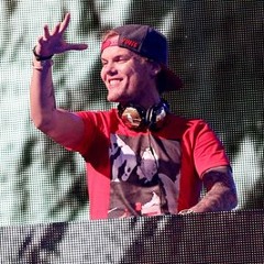 Avicii - in the mix 2015