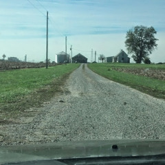 tonysimpsonlivesoutloud