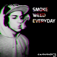 cammorg