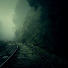 Between dark & light
