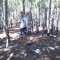 user494901488