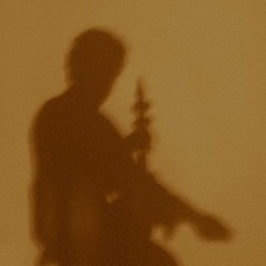 Shervin Safavi