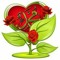 Abeer Aly