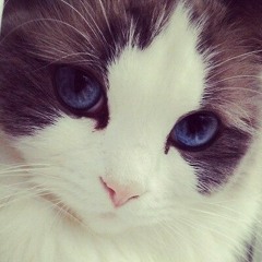 Прикольные песни