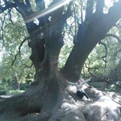 Patricia Andrea Duarte