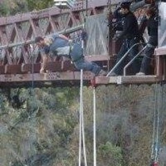 Susan Margrie-Cogram