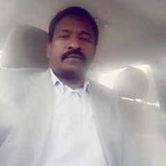 بربري