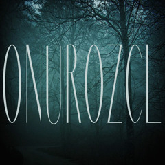 Stream Accept - Amamos La Vida by ONUROZCL | Listen online for free on  SoundCloud